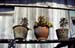 Pots on shelf 8710429