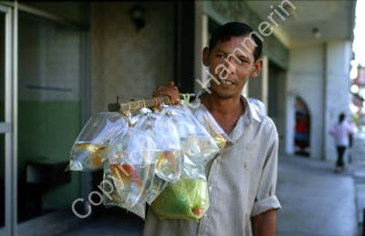 Aquarium fish in plastic bags 8721532