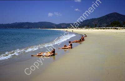 Beach paradise 8721126