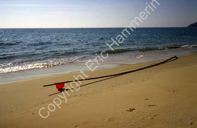 Flag pole on the beach 8721306