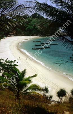 Secluded beach 8721506
