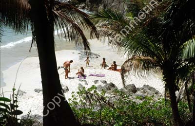 Secluded beach 8721508