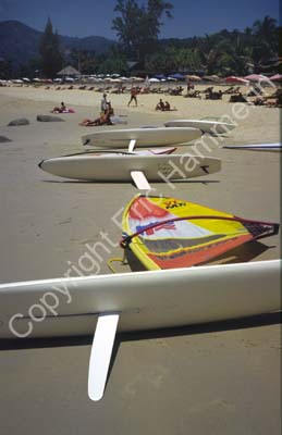 Wind surfboards on the beach 8721125