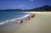 Beach paradise 8721126