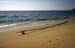 Flag pole on the beach 8721306