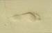 Foot print on beach sand 8721514