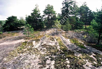 Bohuslän Blomsholm spår av inlandsisen 970225