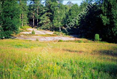 Tanumshede Vitlycke hällristning 960230