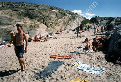 Koster nord strand 970835