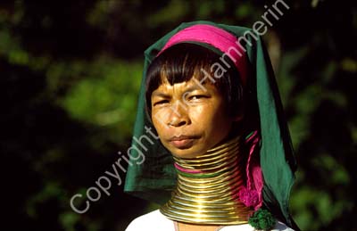 Padong woman longnecked 8610003