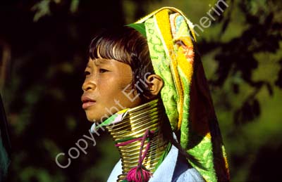 Padong woman longnecked 8610004