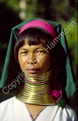 Padong woman longnecked 8610011