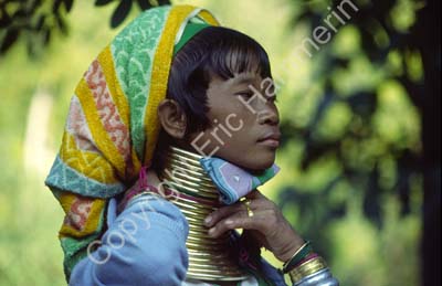 Padong woman longnecked 8610023