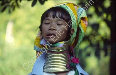 Padong woman longnecked 8610024
