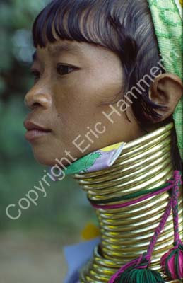 Padong woman longnecked 8610033