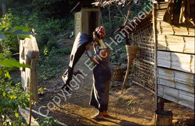 Padong woman longnecked 8610115