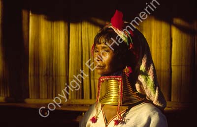 Padong woman longnecked 8610118