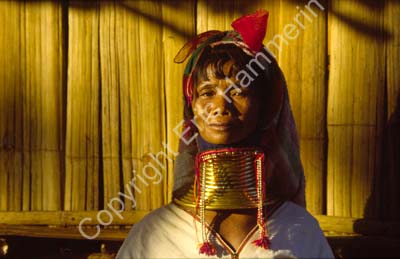 Padong woman longnecked 8610121
