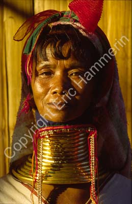 Padong woman longnecked 8610122