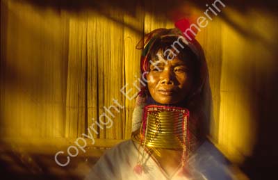 Padong woman longnecked 8610124