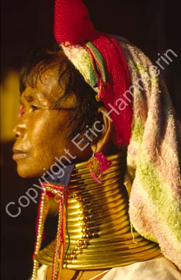 Padong woman longnecked 8610128