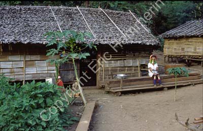 Padong woman longnecked in front of house 8610212