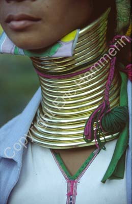 Padong woman longnecked neck rings 8610027