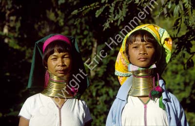 Padong women longnecked 8610007