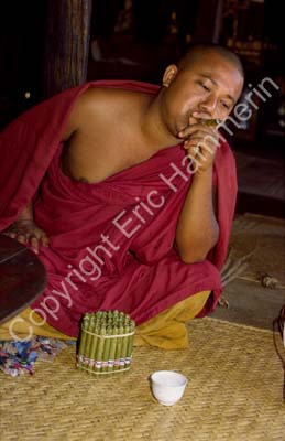 Buddhist monk with cigar 867502