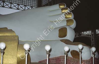 Feet of Buddha at Schwedagon 868610