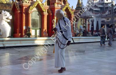 Visitor at Schwedagon 868707