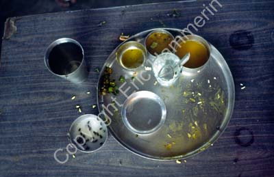 Food plate meals with flies in drink Dwarka 861503