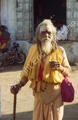 Sadhu holy man Dwarka 861408