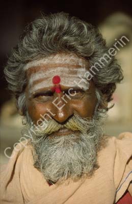 Sadhu holy man Dwarka 861412