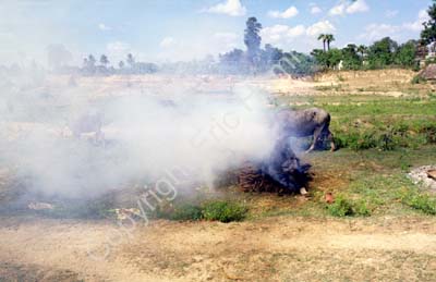 Funeral cremation Kanchipuram 854210
