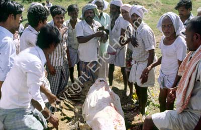 Funeral cremation Kanchipuram 854212