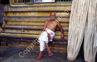 Priest Varadaraja temple Kanchipuram 854125