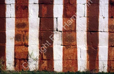 Wall Varadaraja temple Kanchipuram 854126