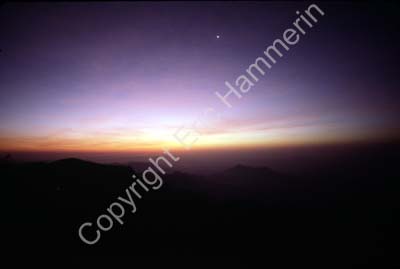 Dawn Kodaikanal 827036