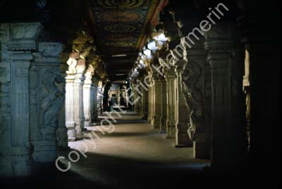 Meenakshi temple Madurai 826518