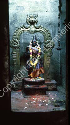 Meenakshi temple Madurai 826522