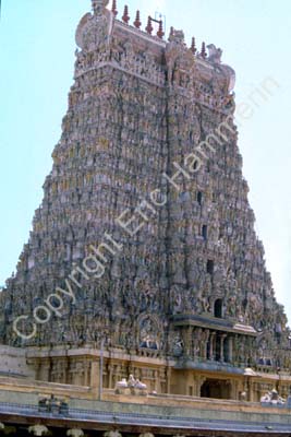 Meenakshi temple gopuram Madurai 826610