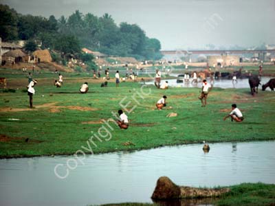 People relieving themselves by the river Vaigai in Madurai 859237