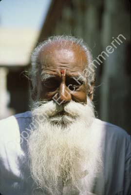 Temple guide Meenakshi temple Madurai 826604