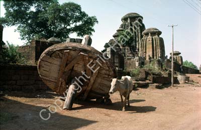 Jagannath chariot's wheel and cow in street Puri 858824