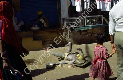 Crippled beggar Pushkar 864325