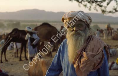 Man at Pushkar camel fair 864534