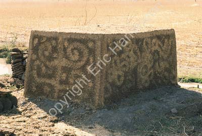 Big cow dung cube Rajasthan 004740