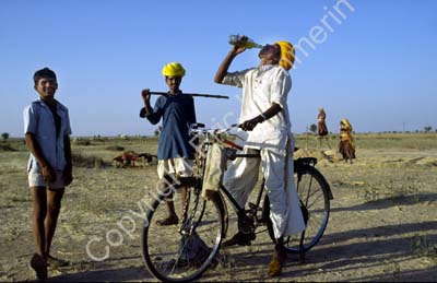 Harvesting time man with bike Rajasthan 864227