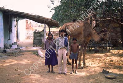 House family camel Rajasthan 004441